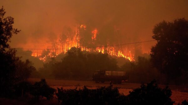 Лесной пожар в деревне Бемпоста, Португалия - Sputnik Казахстан