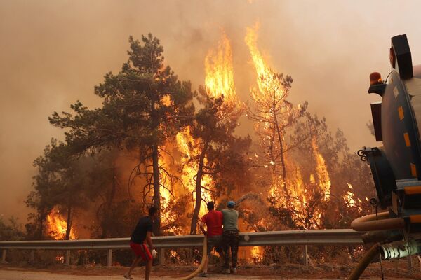 Волонтеры помогают тушить лесной пожар, вспыхнувший в районе Датча Муглы, Турция. - Sputnik Казахстан