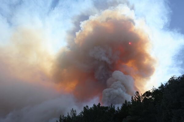 Дым от лесного пожара буквально закрыл все небо над турецким районом Датча в Мугле.  - Sputnik Казахстан