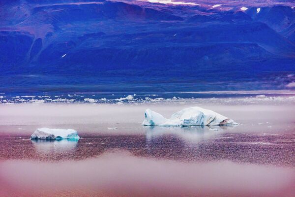 Возможно, в самом ближайшем будущем айсберги в арктических водах останутся только на картинках.  - Sputnik Казахстан
