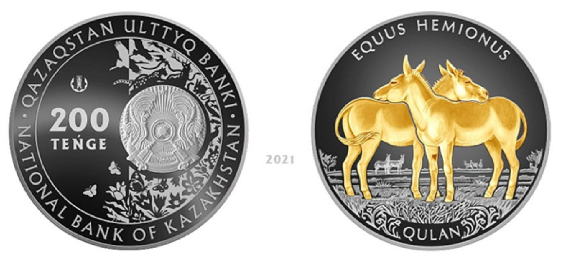 Коллекционная монета QULAN номиналом 200 тенге из мельхиора с золочением  - Sputnik Казахстан, 1920, 26.07.2022