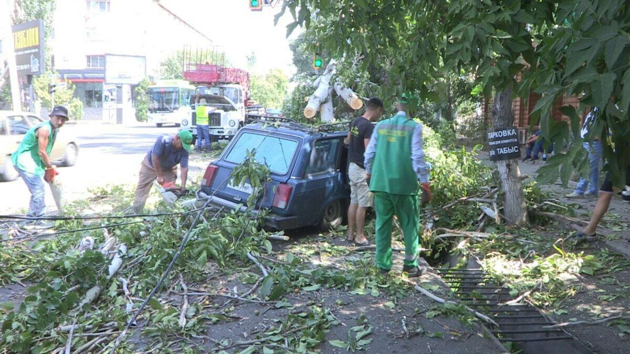 Дерево упало на автомобили в Шымкенте - страховщики не хотят платить ущерб  пострадавшим - 26.07.2022, Sputnik Казахстан