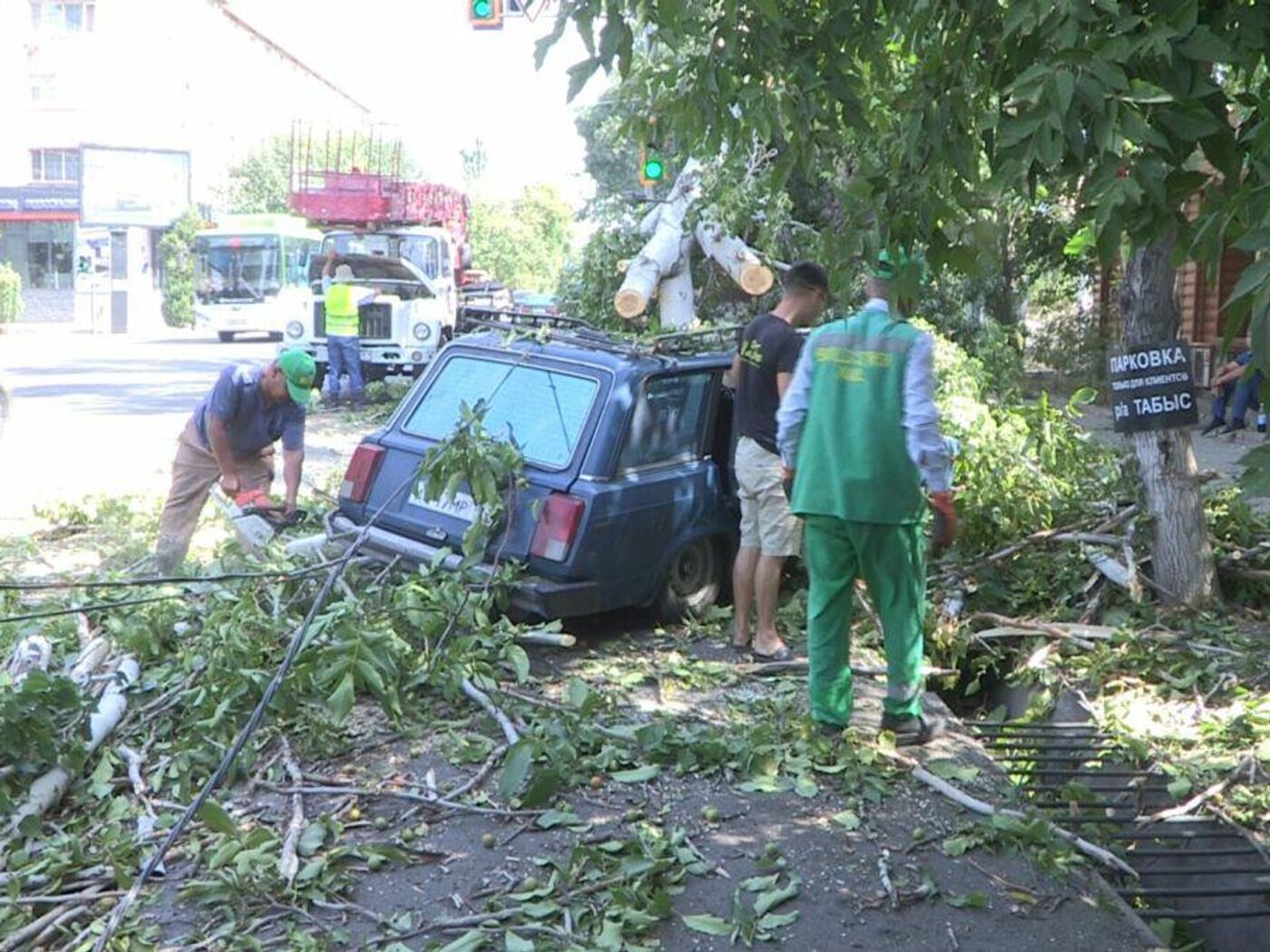 Дерево упало на автомобили в Шымкенте - страховщики не хотят платить ущерб  пострадавшим - 26.07.2022, Sputnik Казахстан