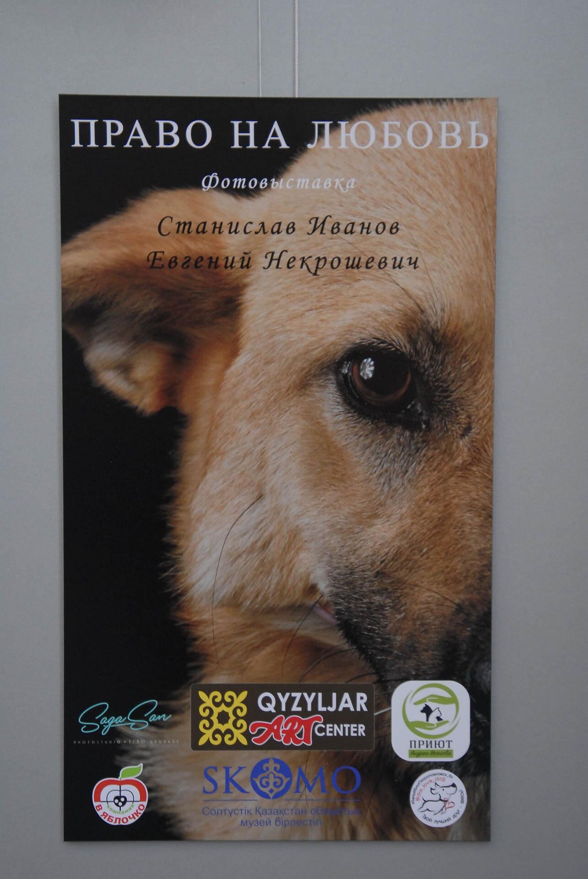 Фотовыставка собачьих приютов - Sputnik Казахстан, 1920, 27.07.2022