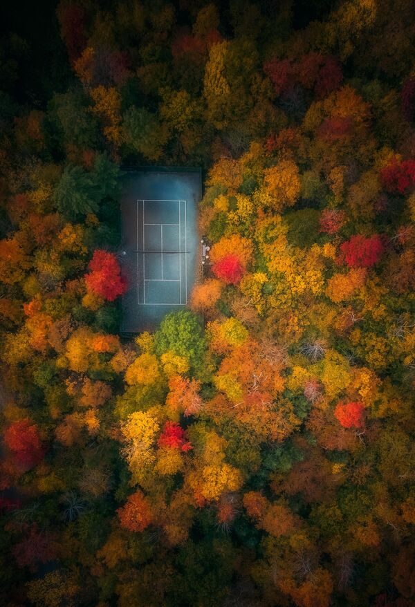 Снимок Fall Window индийского фотографа &quot;Окно в осень&quot;. Фотограф Ракеш Баро. 1-е место в категории &quot;Природа&quot;. - Sputnik Казахстан