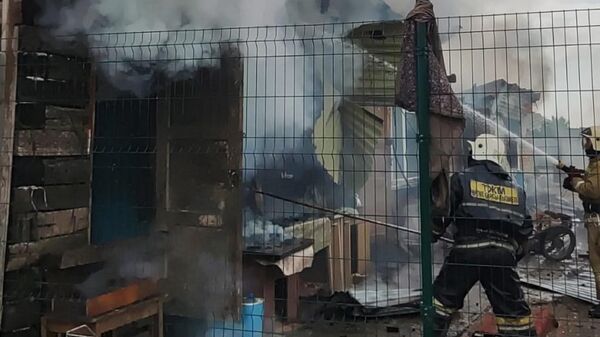 Деревянное здание приюта для животных в Экибастузе сгорело из-за детской шалости с огнем - Sputnik Казахстан