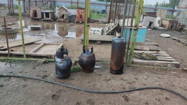 Несколько газовых баллонов, находившихся в здании приюта для животных в Экибастузе, взорвались во время пожара  - Sputnik Казахстан