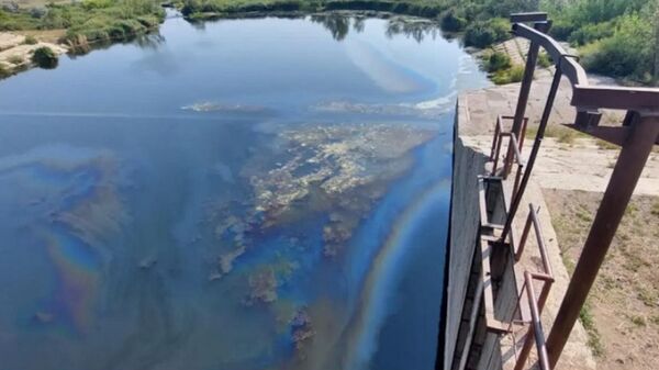 Масляное пятно на поверхности воды реки Тобол близ Лисаковска  - Sputnik Казахстан