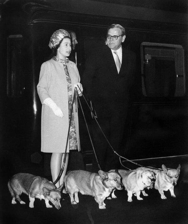 Королева Елизавета II на железнодорожном вокзале Кингс-Кросс в Лондоне, 15 октября 1969 года, со своими четырьмя корги. - Sputnik Казахстан