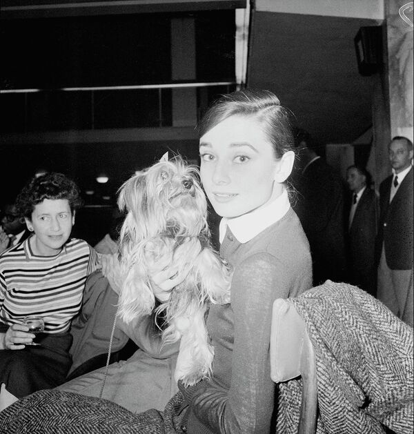 Американская актриса Одри Хепберн со своим йоркширским терьером в аэропорту Чампано в Риме. - Sputnik Казахстан