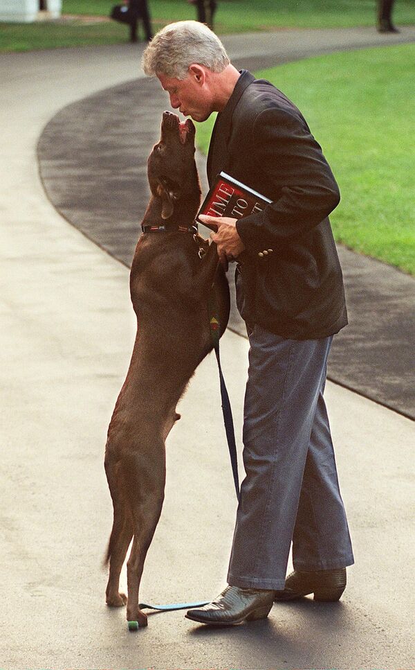 Президента США Билла Клинтона встречает его собака Бадди, когда он прибывает в Белый дом. - Sputnik Казахстан