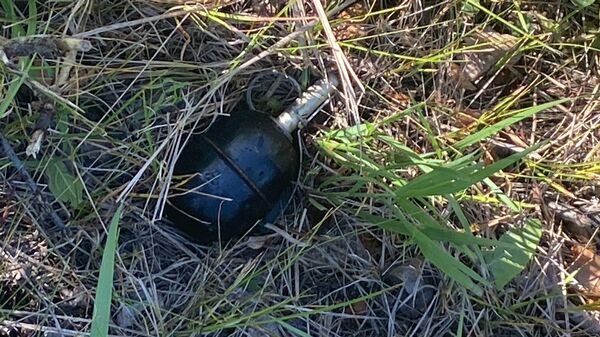 В Петропавловске на территории городского парка нашли гранату - Sputnik Казахстан