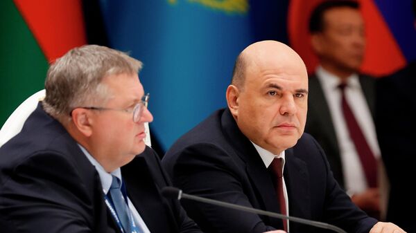Премьер-министр РФ М. Мишустин принял участие в заседании Евразийского межправительственного совета - Sputnik Казахстан