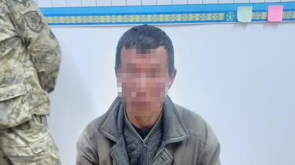 Иностранца задержали за нарушение госграницы в горах Алматинской области - Sputnik Казахстан
