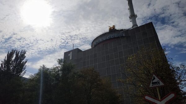Миссия МАГАТЭ посетила Запорожскую АЭС - Sputnik Казахстан