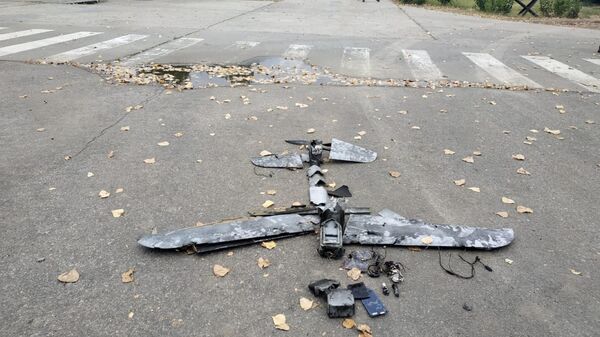 Украинский дрон-камикадзе, сбитый на территории Запорожской АЭС - Sputnik Казахстан