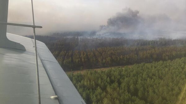Лесной пожар в Костанайской области - Sputnik Қазақстан