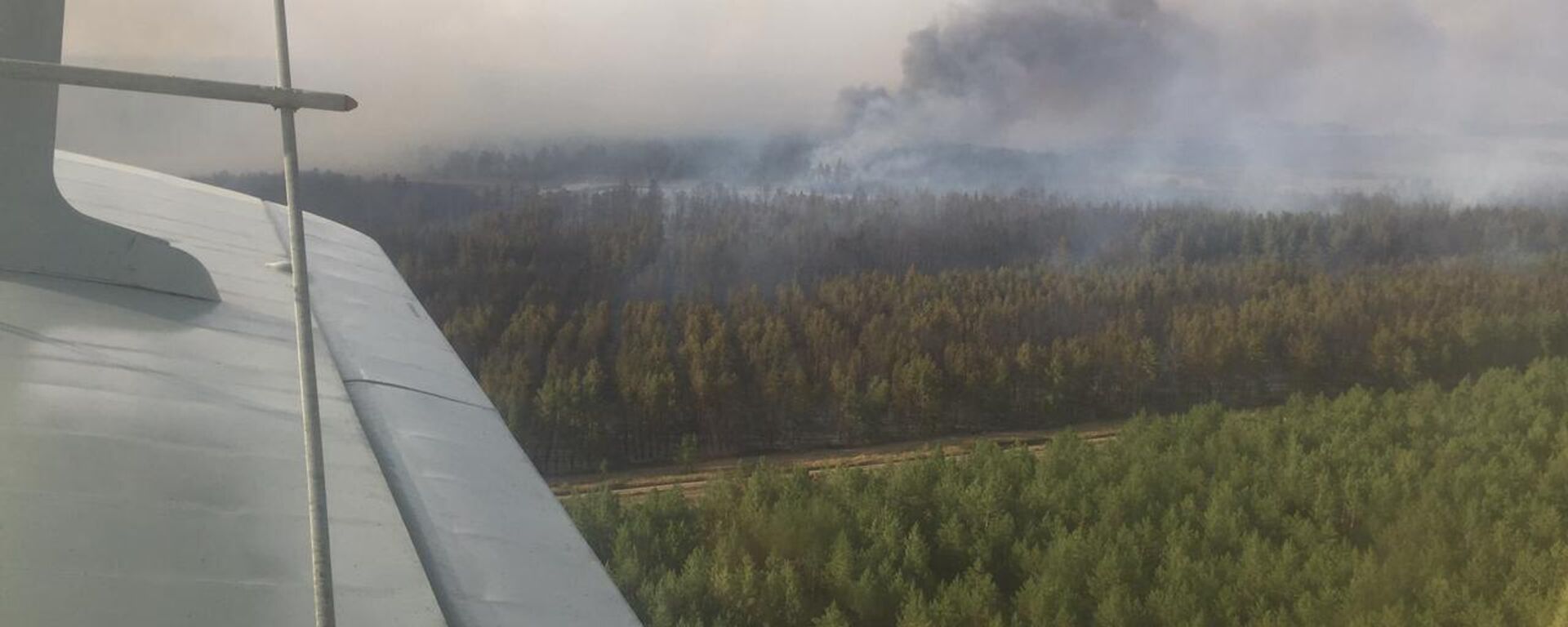 Лесной пожар в Костанайской области - Sputnik Қазақстан, 1920, 04.09.2022