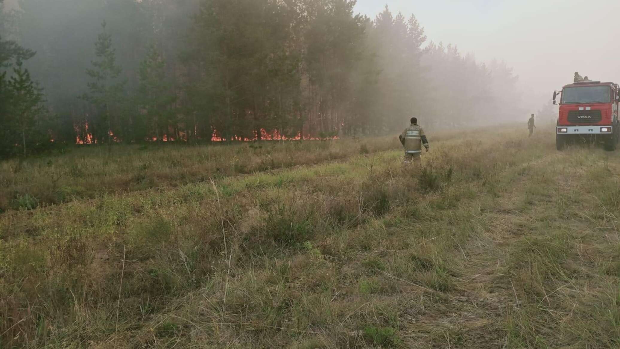 Природные пожары картинки