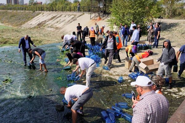 В столице запустили проект по реабилитации ручья Акбулак - Sputnik Казахстан