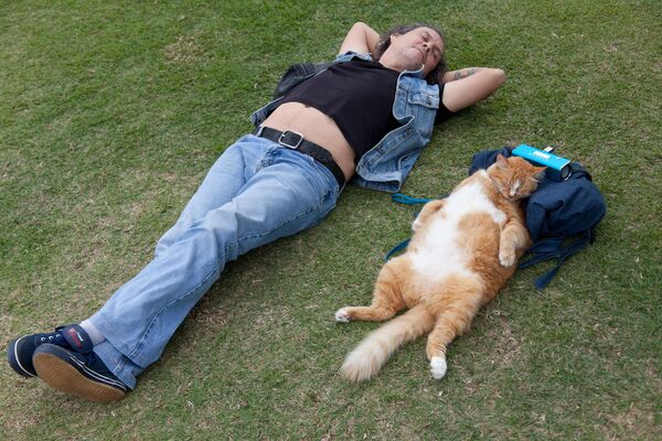 Кошка спит рядом со своим хозяином возле пляжа Сан-Конрадо в Рио-де-Жанейро.  - Sputnik Казахстан