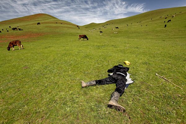 Пастух спит на пастбище в окрестностях Джалал-Абада, Киргизия - Sputnik Казахстан