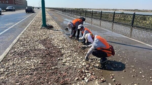 Коммунальщики отмывают декоративные камни у дороги в Кызылорде - Sputnik Казахстан