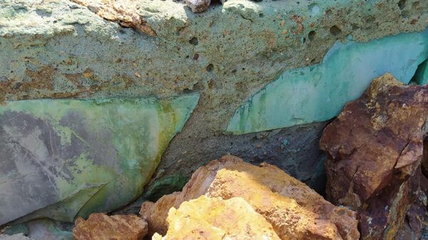 Будущие экспонаты геологического музея, найденные во время экспедиций Павлодарского дома географии  - Sputnik Қазақстан