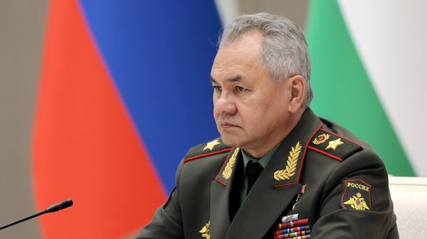 Выступление министра обороны РФ Сергея Шойгу - Sputnik Казахстан