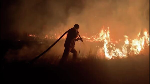 Предварительная площадь пожаров - более 2000 гектаров - видео - Sputnik Казахстан