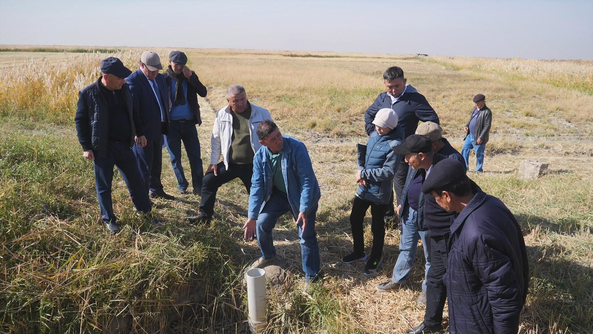 В Кызылорде ученые предлагают для экономии поливной воды сеять рис под пленку - Sputnik Казахстан, 1920, 11.10.2022