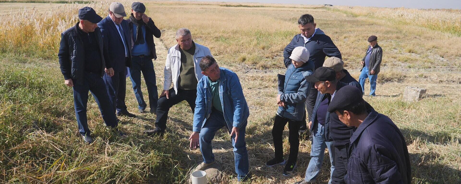 В Кызылорде ученые предлагают для экономии поливной воды сеять рис под пленку - Sputnik Казахстан, 1920, 11.10.2022