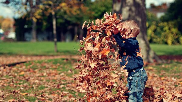 Мальчик играет с листьями в осеннем парке  - Sputnik Казахстан
