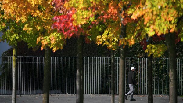 Мужчина прогуливается солнечным днем мимо осенних деревьев в берлинском районе Тиргартен, Германия - Sputnik Қазақстан