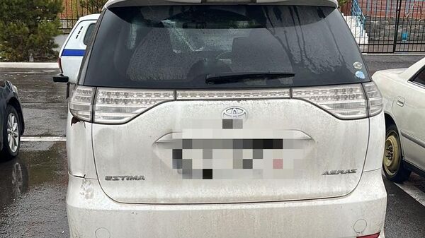 Машину-двойника выявила полиция в Акмолинской области - Sputnik Казахстан