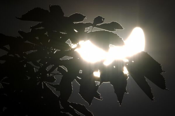 В ином случае речь идет о частном солнечном затмении. На фото: частичное солнечное затмение, наблюдаемое в Москве. - Sputnik Казахстан