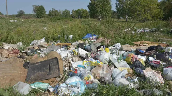 В Северо-Казахстанской области выявлено 233 несанкционированных места размещения отходов - Sputnik Қазақстан