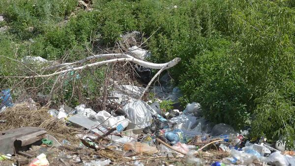 В Северо-Казахстанской области выявлено 233 несанкционированных места размещения отходов - Sputnik Қазақстан