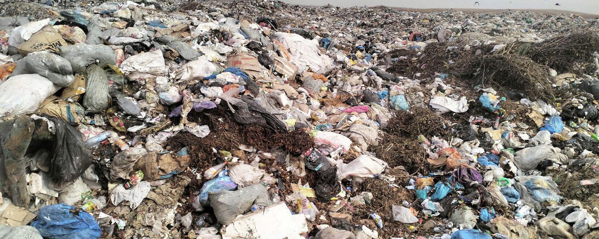 Алматы облысындағы қоқыс полигоны - Sputnik Қазақстан, 1920, 02.08.2025