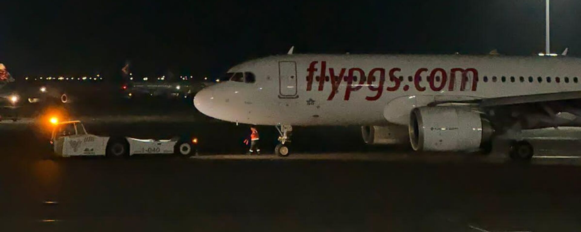 Pegasus Airlines ұшағы - Sputnik Қазақстан, 1920, 02.12.2025