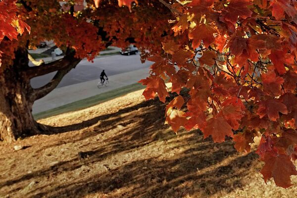 Мужчина едет на велосипеде под сенью кленовых листьев в парке в Канзас-Сити, США.  - Sputnik Казахстан