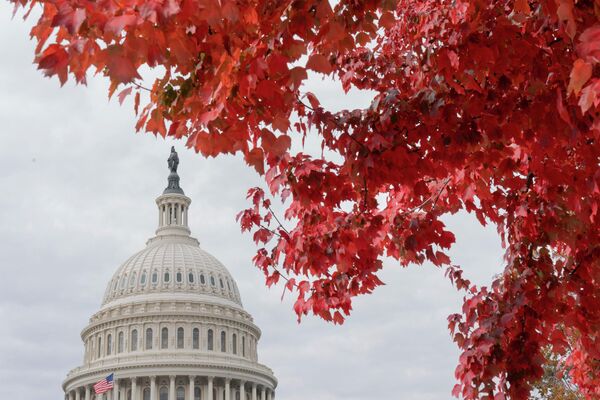 Капитолий алдында ағаш жапырақтары қызғылт түске боялды, Вашингтон, АҚШ - Sputnik Қазақстан