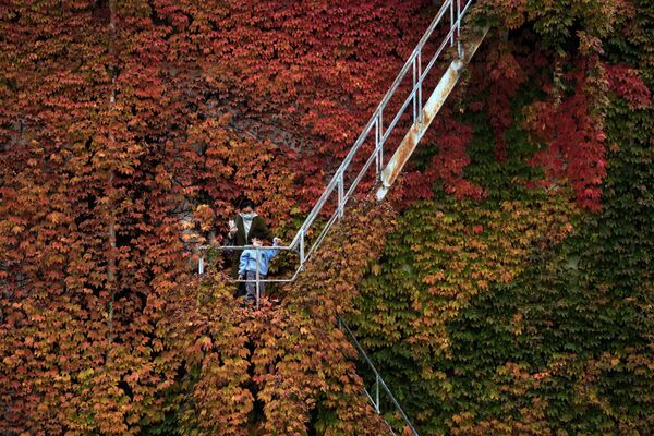 Мама и ребенок делают фото, стоя на усыпанной осенними листьями в Пекине. - Sputnik Казахстан