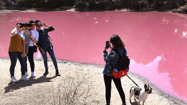 Озеро ярко-розового цвета в Австралии, ставшее таким из-за экстремального уровня соли в связи с жаркой погодой - Sputnik Казахстан