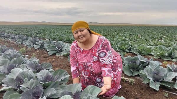 Жительница аула Карабулак Акмолинской области Гульмайра Баймакова задалась целью поднять уровень жизни сельчанок - Sputnik Казахстан