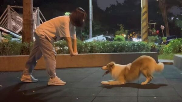 Хорошо обученная собака танцует с хозяином - видео - Sputnik Казахстан