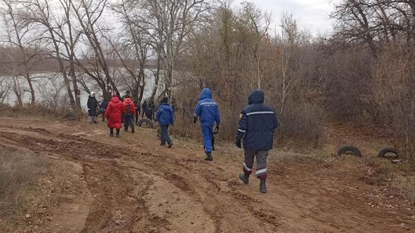 Спасатели и волонтеры ищут пропавшего грибника в Западно-Казахстанской области - Sputnik Казахстан