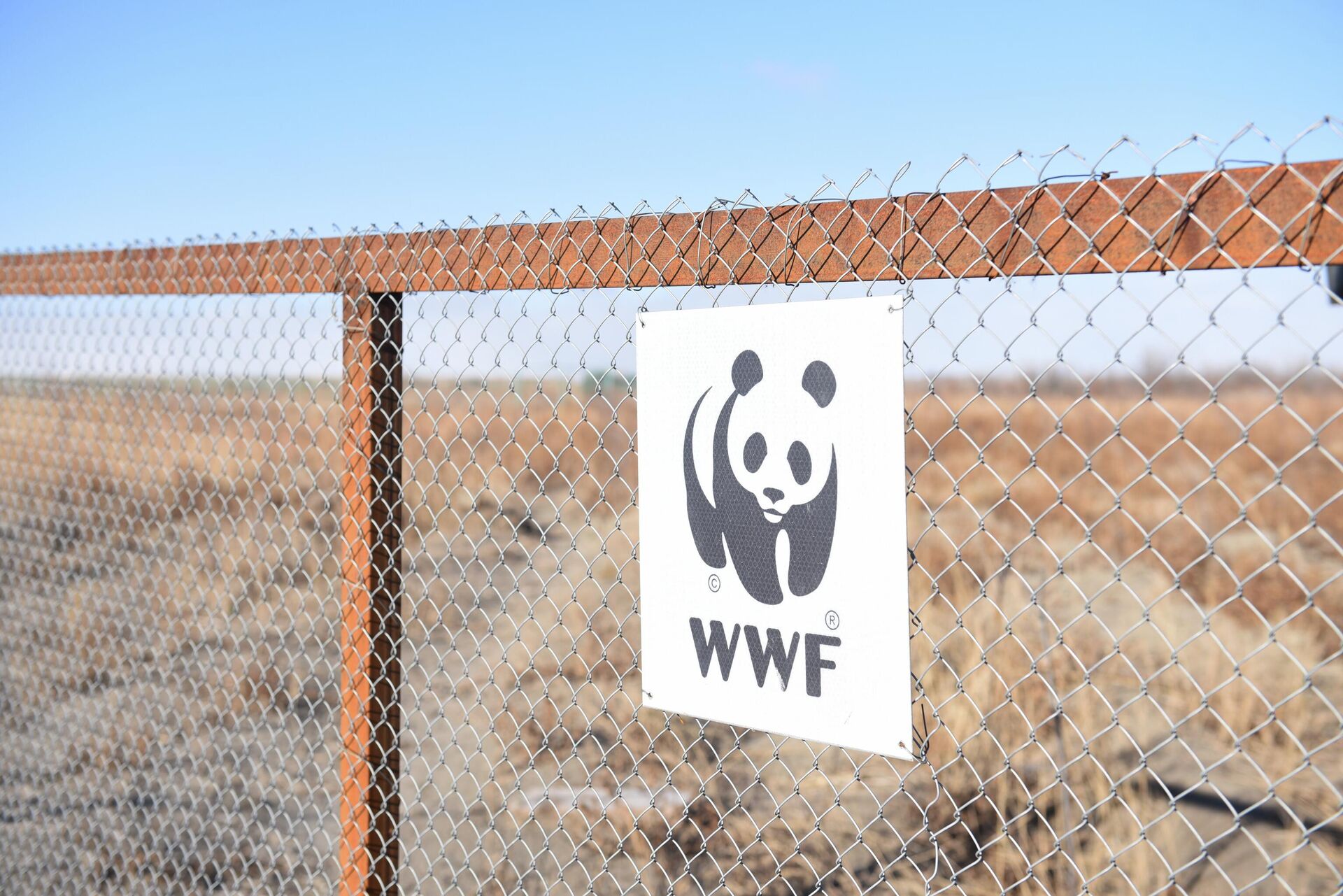  Логотип Всемирного фонда дикой природы (WWF)  - Sputnik Казахстан, 1920, 28.11.2022