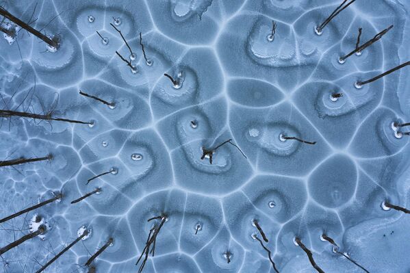 Снимок &quot;Сеть&quot; румынского фотографа Георга Попа, сделанный на озере  Куэйдель.  - Sputnik Казахстан