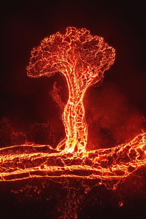 Снимок &quot;Дерево лавы&quot; фотографа из Коста-Рики Луиса Солано, сделанный на полуострове Рейкьянес, Исландия.  - Sputnik Казахстан